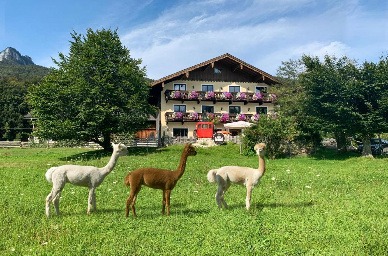 Das Franzl - Bett & Brot Sankt Wolfgang im Salzkammergut Bagian luar foto