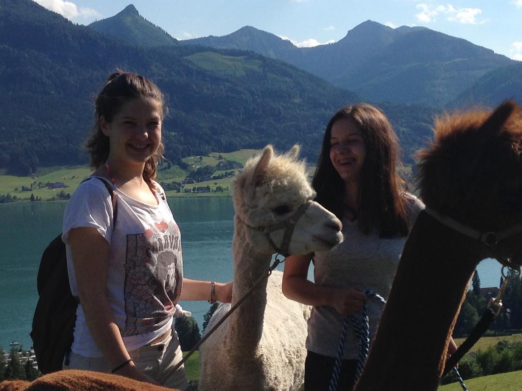 Das Franzl - Bett & Brot Sankt Wolfgang im Salzkammergut Bagian luar foto