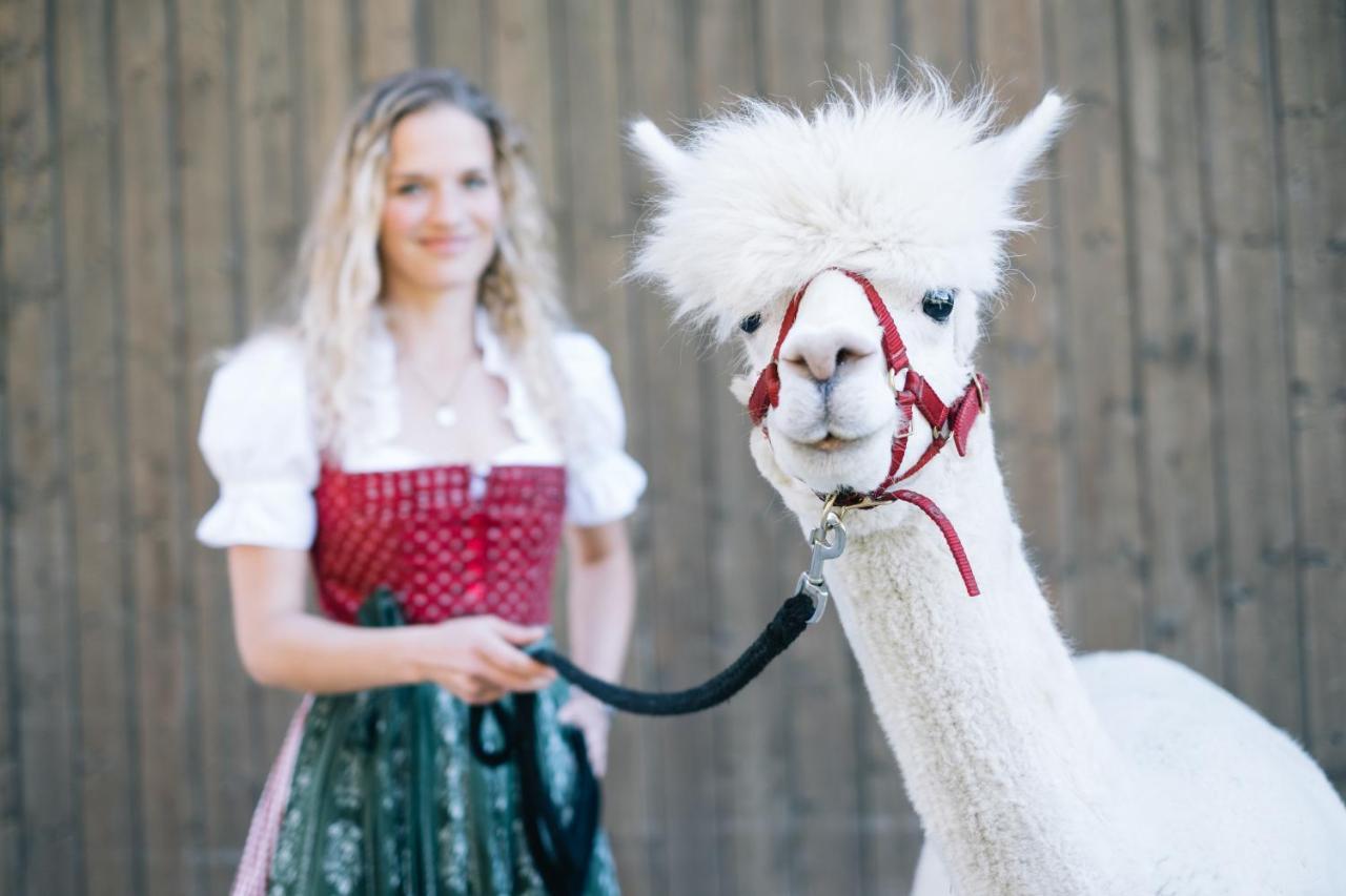 Das Franzl - Bett & Brot Sankt Wolfgang im Salzkammergut Bagian luar foto