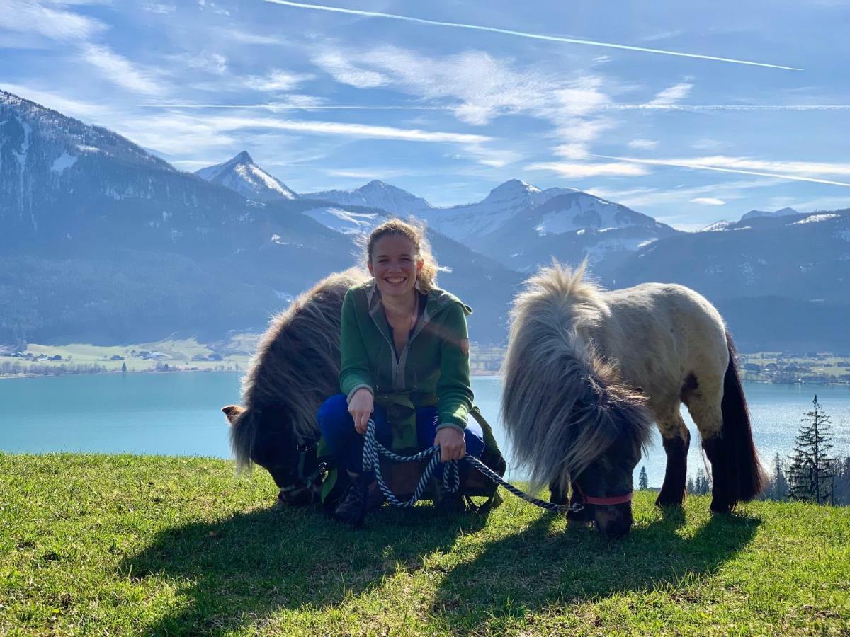 Das Franzl - Bett & Brot Sankt Wolfgang im Salzkammergut Bagian luar foto