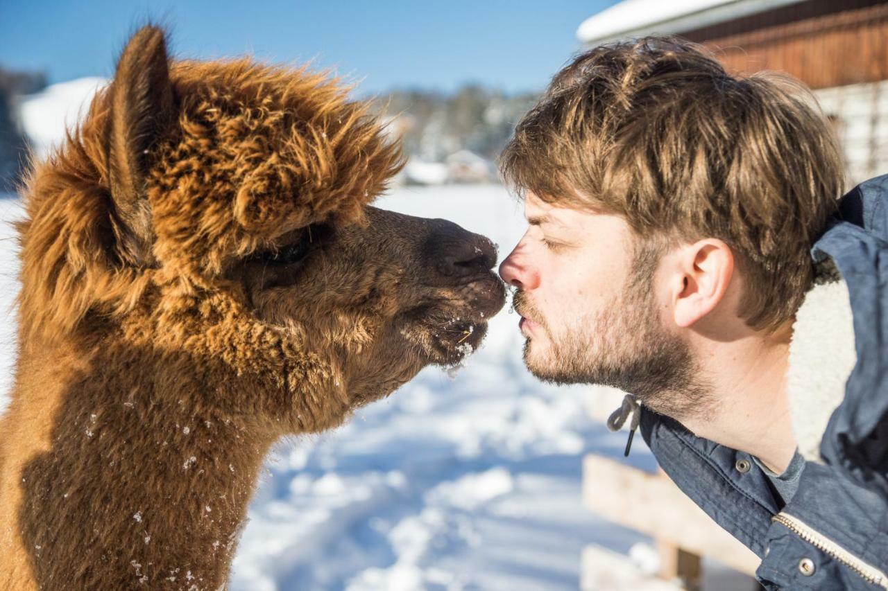 Das Franzl - Bett & Brot Sankt Wolfgang im Salzkammergut Bagian luar foto